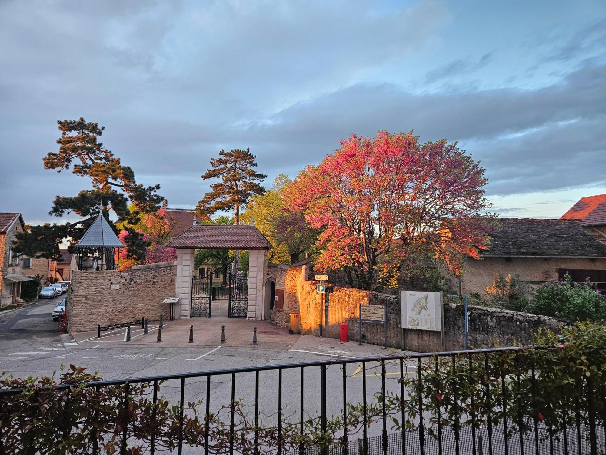 Le Val D'Amby Hotel Hieres-Sur-Amby Exterior foto